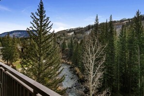 Exterior - Centrally Located 3 BR in Lionshead Village w/ Pool, Walk to Lift! (Vail)