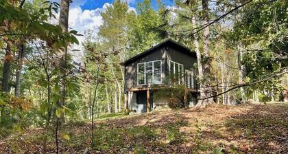 Romantic Lily Pad Cabin | Starlink, Firepit & Trails near Bluestone State Park