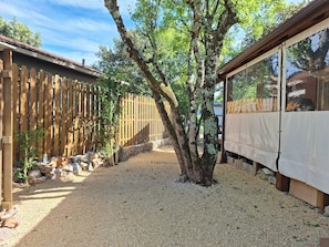A gravel pathway, wooden fence, and a covered structure in a garden setting.