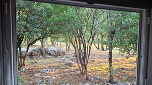 Une vue sur un paysage naturel, avec des arbres et des rochers, à travers une fenêtre.