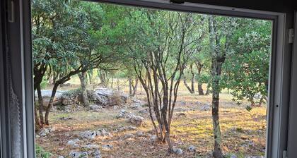 Atypical country cottage-style mobile home, quiet and bucolic