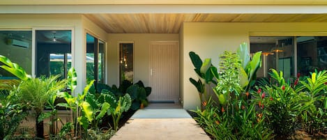 A modern house with a concrete pathway leading to a door, surrounded by lush tropical plants.