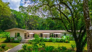 A modern house with a pool, surrounded by lush greenery and trees.