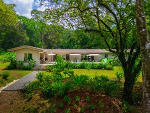 A modern house with a pool, surrounded by lush greenery and trees.