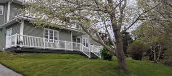 Ocean-Front Bay Bulls Apartment