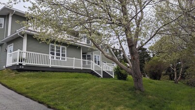 Ocean-Front Bay Bulls Apartment