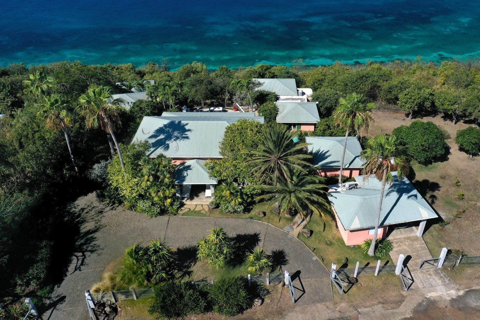 An aerial view of a resort with multiple buildings, a large palm tree, and a clear view of the ocean.