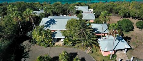 An aerial view of a resort with multiple buildings, a large palm tree, and a clear view of the ocean.