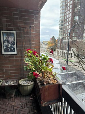 Property grounds - Cozy Home in Downtown Minutes from Seawall (Vancouver)