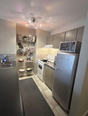 Fridge, microwave, oven, stovetop - Cozy Home in Downtown Minutes from Seawall (Vancouver)