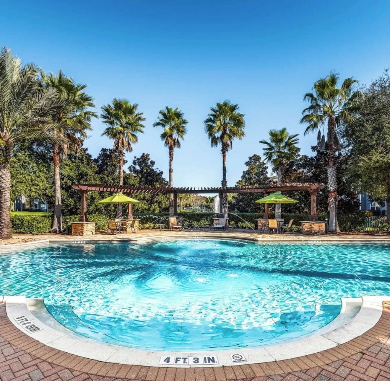 Una piscina con una pérgola y sillones de descanso, rodeada de palmeras.