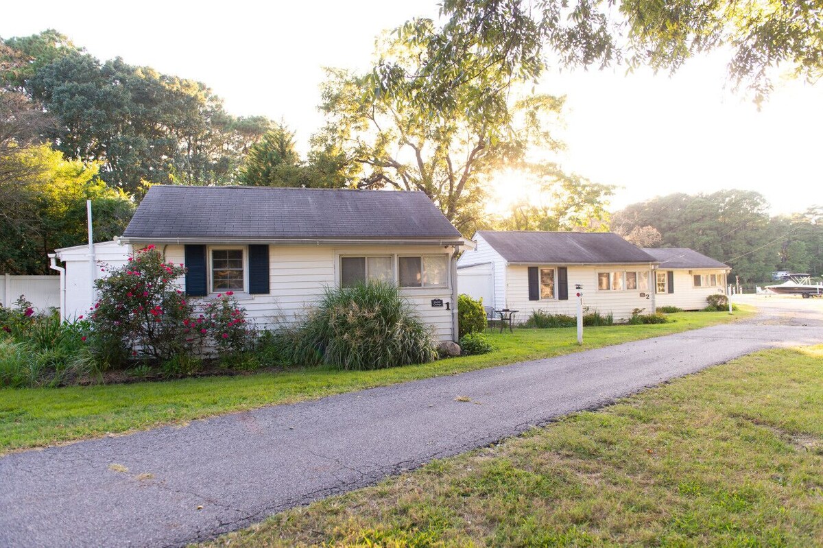 Imagen de perfil del propietario o de la propietaria