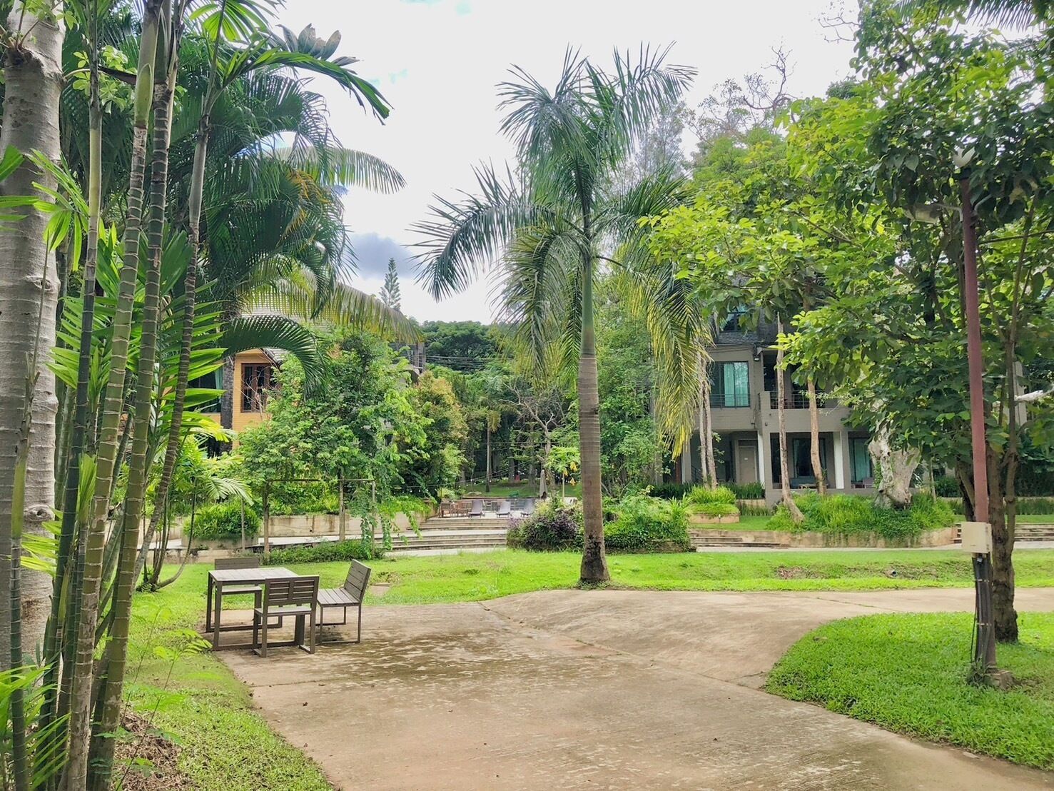 A garden area with a concrete pathway, a table with chairs, and lush greenery including palm trees.