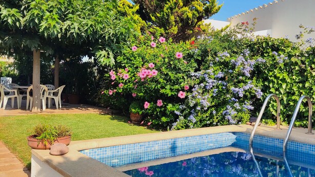 A swimming pool with a tiled edge, surrounded by lush greenery and flowering plants.