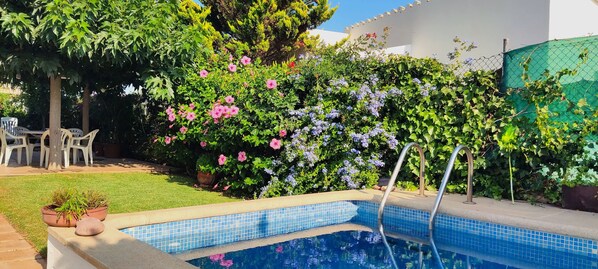 Pool - CLARONA - Beautiful house with private swimming pool and free Wifi (Ciutadella de Menorca)
