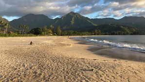 Ein Strand mit Fußspuren, Palmen und Bergen im Hintergrund.