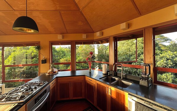 Une cuisine moderne avec des meubles en bois, une cuisinière à gaz, un évier et une fenêtre donnant sur un espace verdoyant.