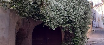 Studio in my main residence