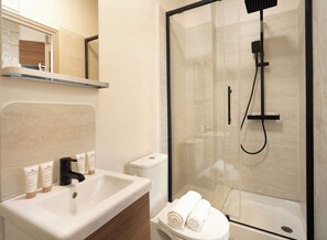 Shower, hair dryer, towels