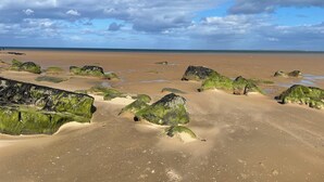Cottage | Strand