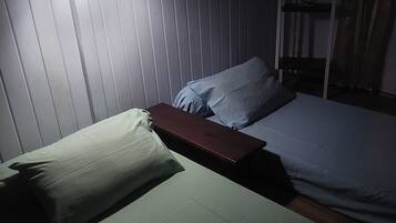 Basic Double or Twin Room | Iron/ironing board