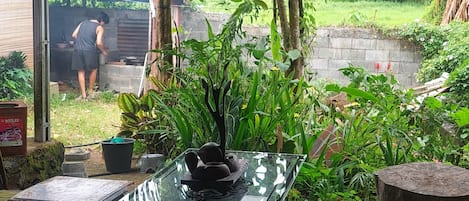 Vue sur le jardin
