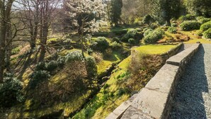 Cottage | Property grounds - Huntingstile South (Ambleside)