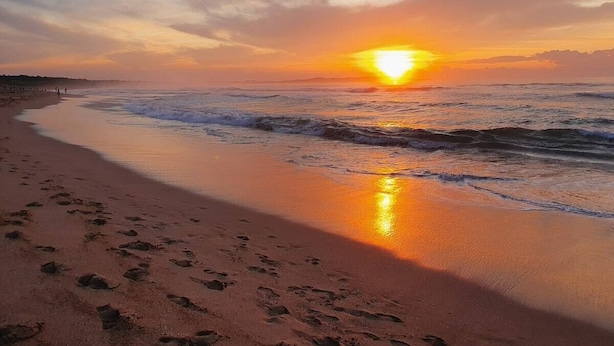 A beach with footprints leading to the water, a sunset in the background, and a calm sea. - Unit 1 - A welcoming and cosy unit, near Wanda beach and Cronulla Golf Course (Cronulla)
