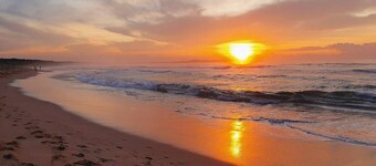 Unit 1 - A welcoming and cosy unit, near Wanda beach and Cronulla Golf Course