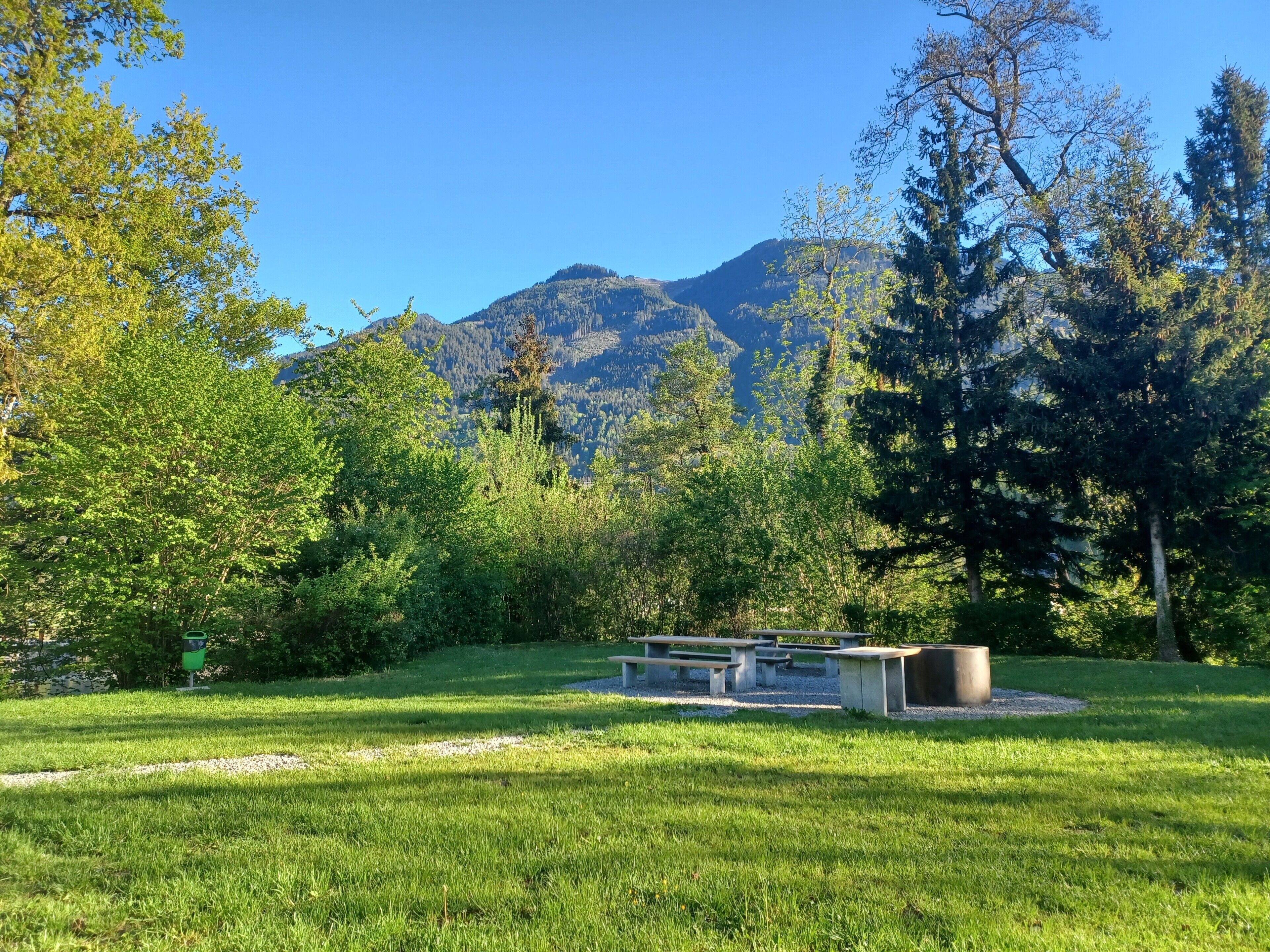 A park with picnic tables and a mountain in the background.