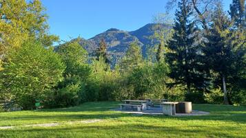 A park with picnic tables and a mountain in the background.