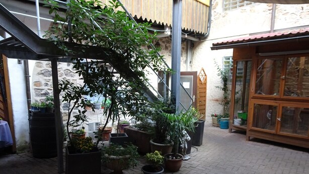 Un patio con plantas en macetas, un muro de piedra y una estructura de madera.