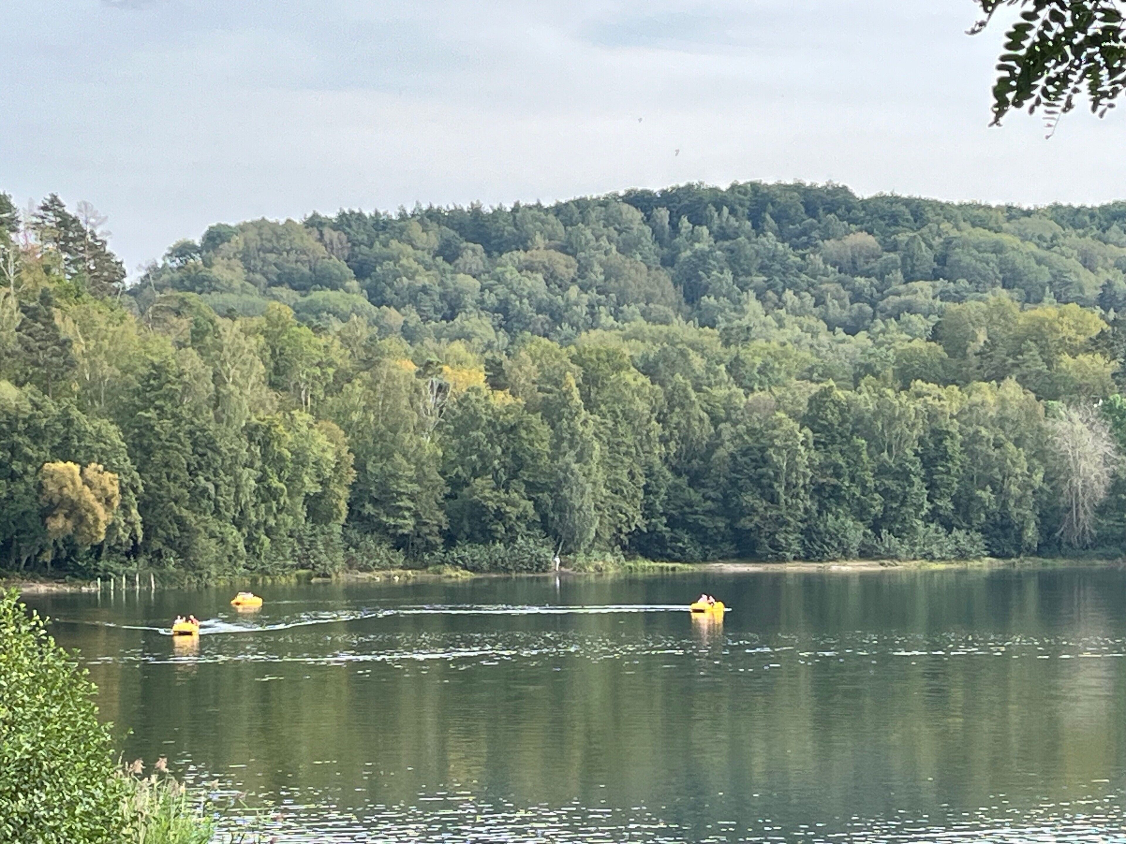 A calm lake with boats, surrounded by dense forest.