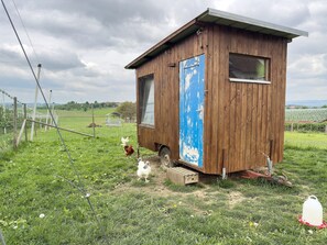 A small wooden structure with a blue door, a window, and a door step.