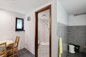 Shower, hair dryer, towels