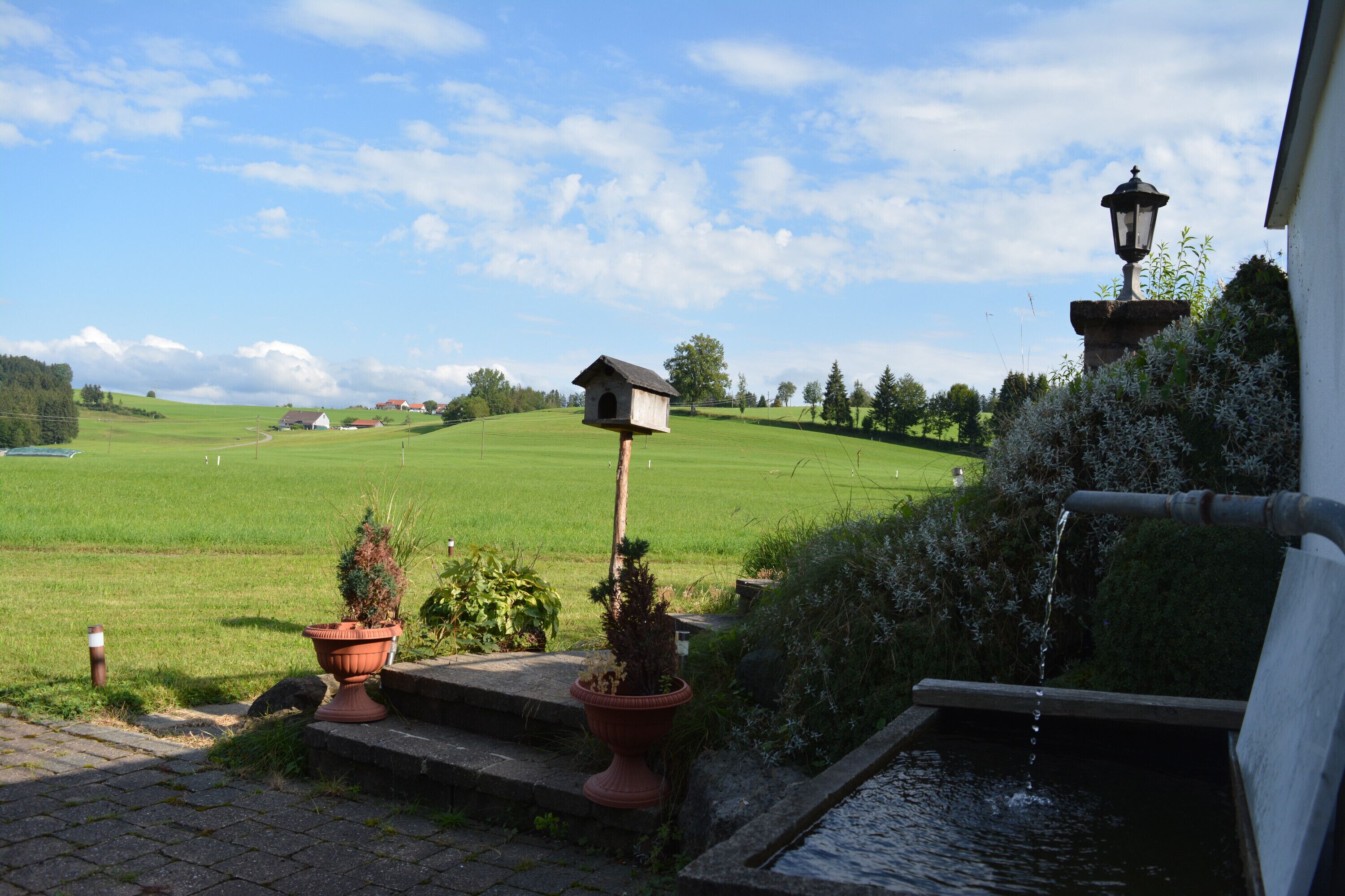 Jardines del alojamiento