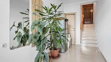 Ein Flur mit einem Blumentopf, einem Kühlschrank und einer Treppe, die in einen anderen Raum führt.