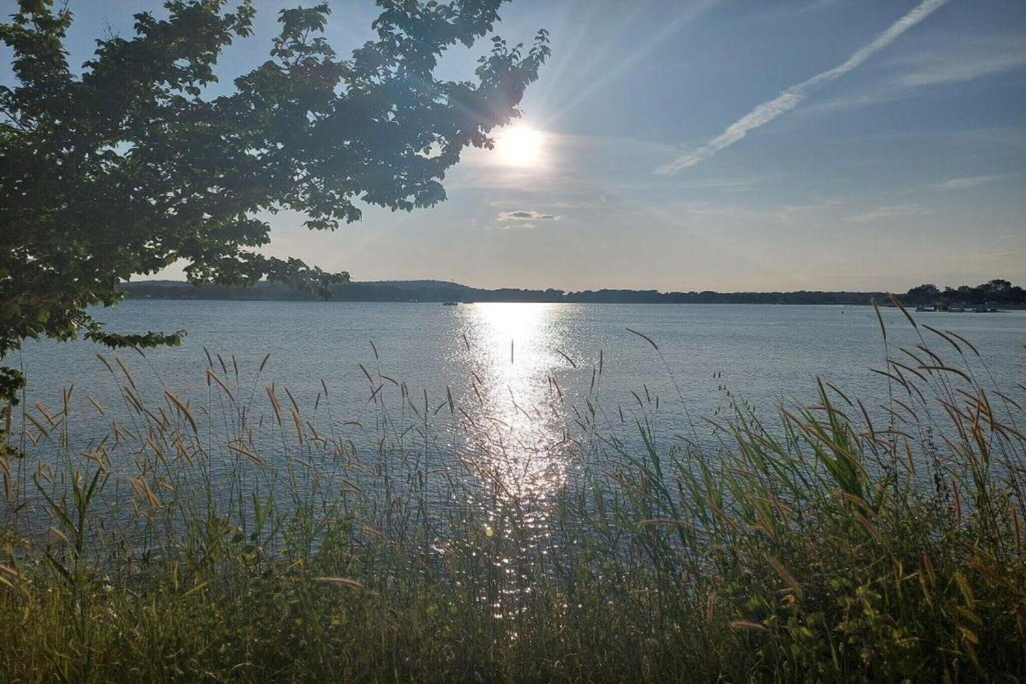 Ein ruhiger See, auf dessen Oberfläche das Sonnenlicht reflektiert wird, umgeben von Bäumen und Gras.