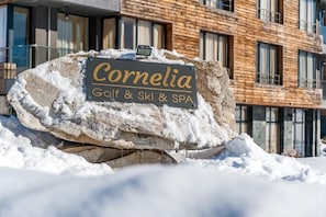 Exterior detail - Razlog Bansko Bulgaria - Cornellia 1-bedroom suite condo with Mountain View (Bansko)
