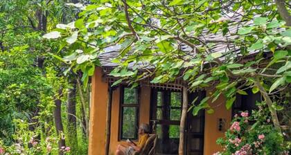 Nature Stay in Mud cottage with Food, Yoga & Meditation in Dharamshala