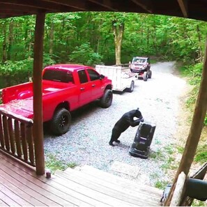 Imagen sin descripción, 5 de 44, botón