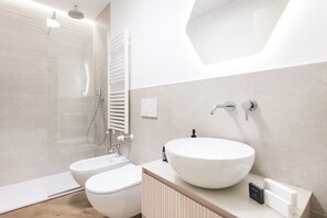 Shower, hair dryer, bidet, towels