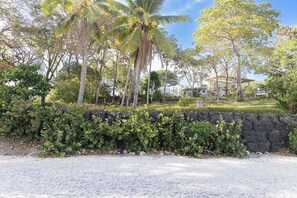 Property grounds - La Sinforosa - The Coral Studio #2 (Playa Corona)