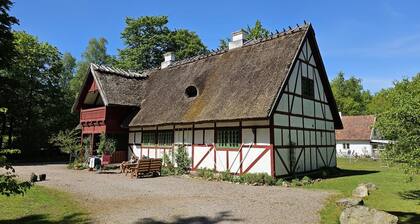 Charming Newly Renovated Cottage in Serene Forest Setting and next to castle