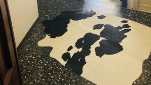 内装