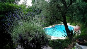 A swimming pool surrounded by lush greenery and various plants. - Antico Fienile Belvedere (Gardone Riviera)