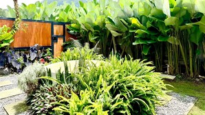 A garden with large green leaves, a wooden fence, and a variety of plants.