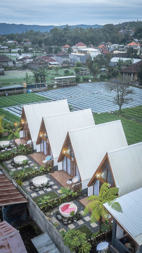 Una hilera de cabañas modernas de estilo A, con grandes ventanales y un patio amoblado con plantas.