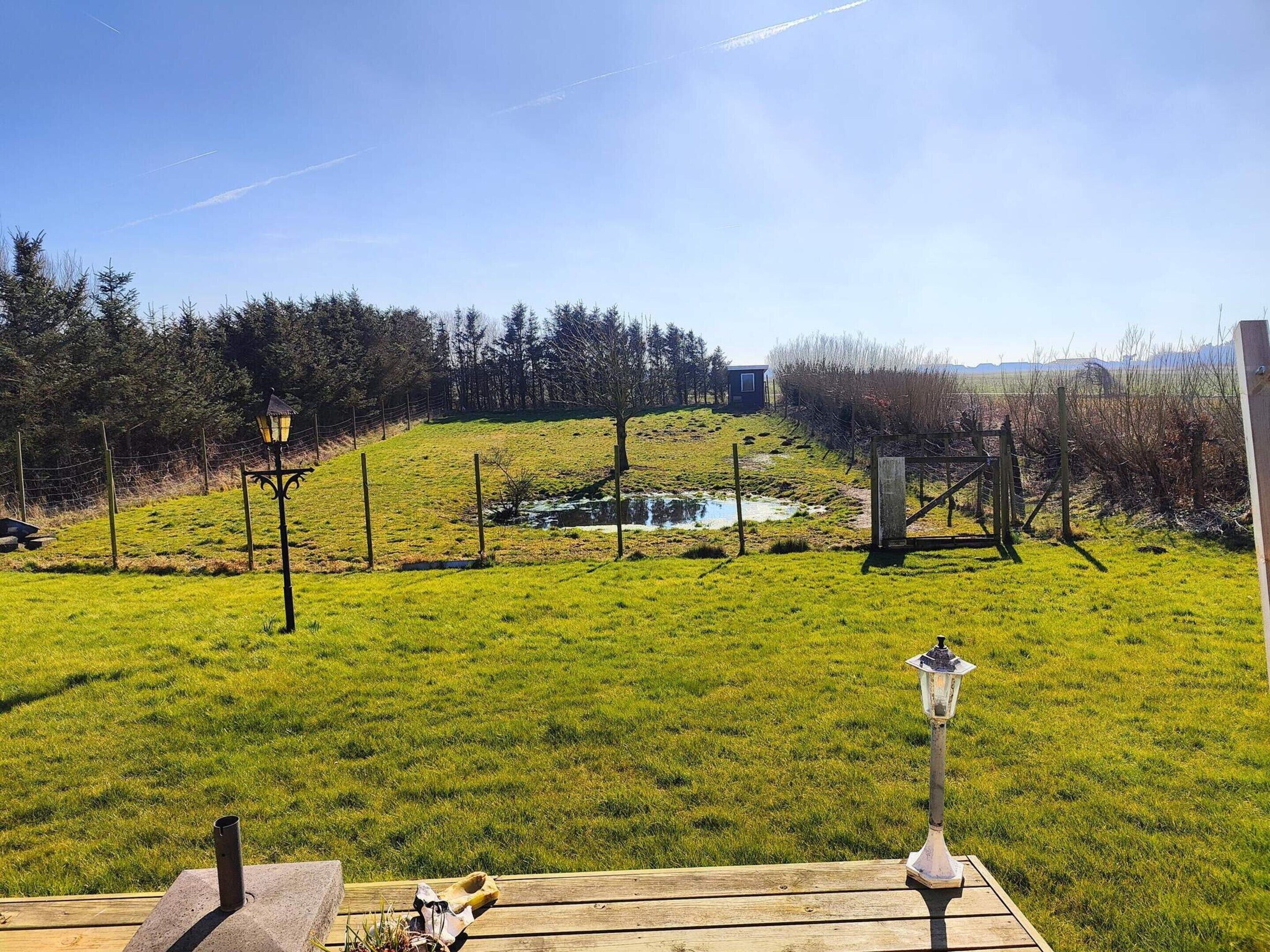 A grassy outdoor area with a wooden bench, a small pond, and a fence.