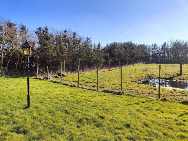 A grassy field with a lamp post, a fence, and a small stream.
